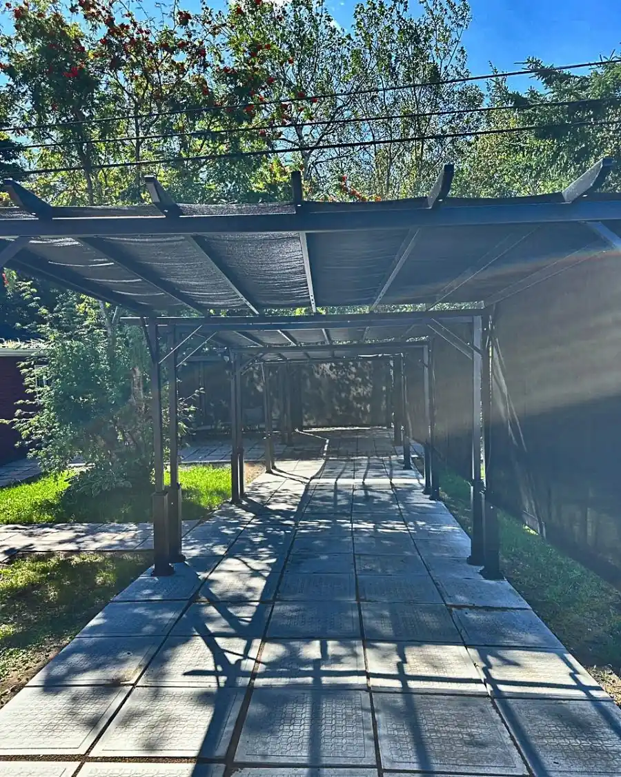 The backyard at The Home on Bennett